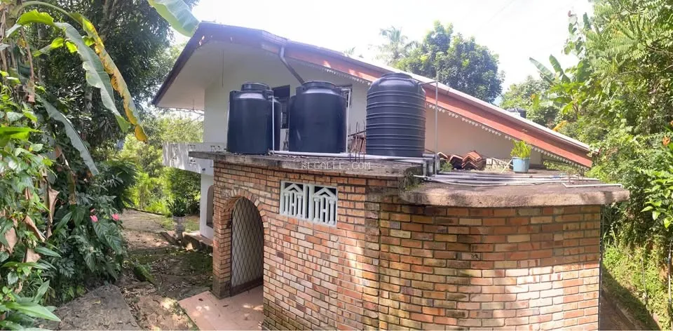 House for rent