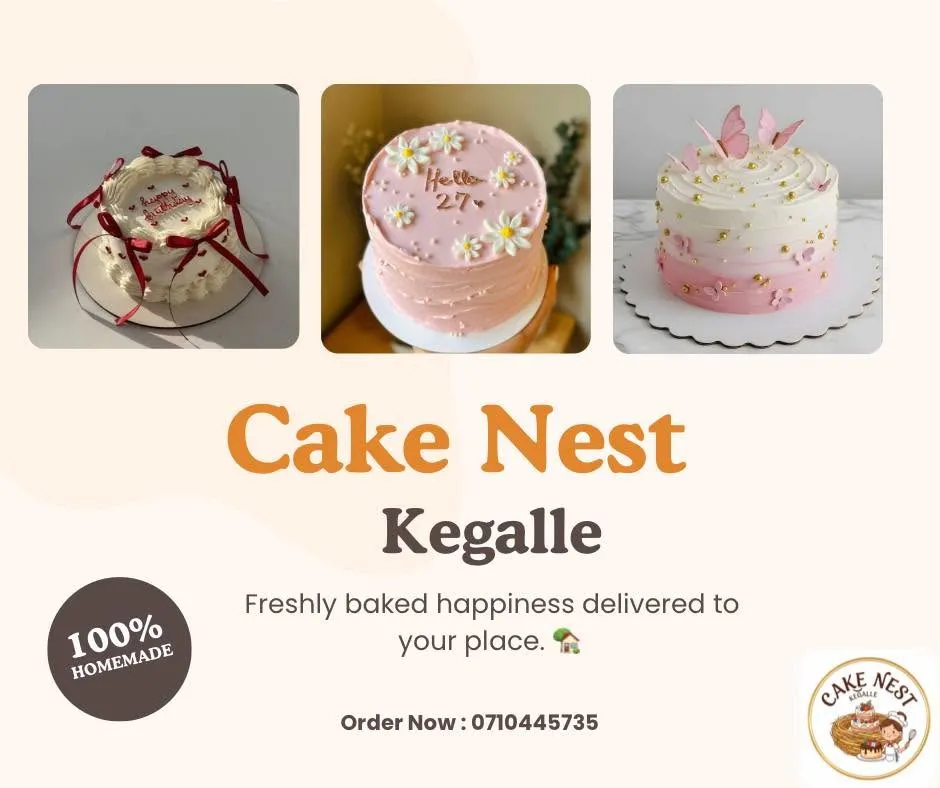 Cake Nest