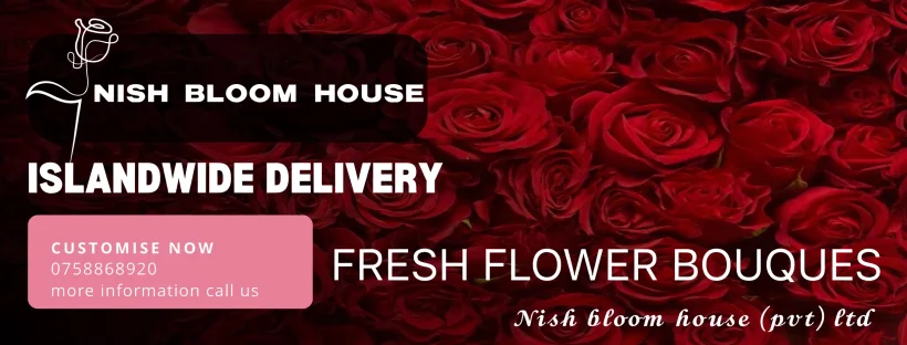 Nish bloom house